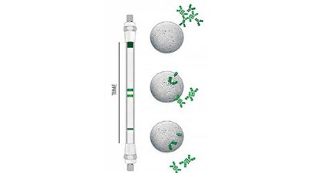 Kolumny chromatograficzne do analizy biomolekuł